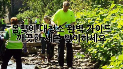 봄맞이 대청소 완벽 가이드: 깨끗한 새봄 맞이하세요! ✨