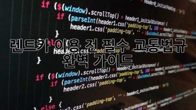 렌트카 이용 전 필수 교통법규 완벽 가이드!